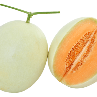 orange melon_7771(2)